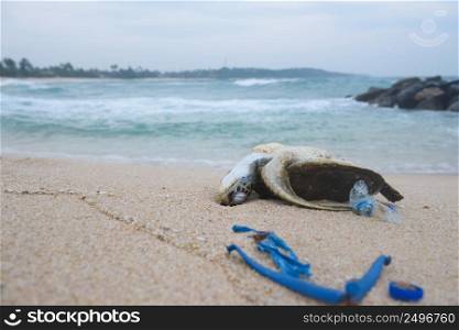 Dead sea turtle on the sand beach among ocean plastic waste