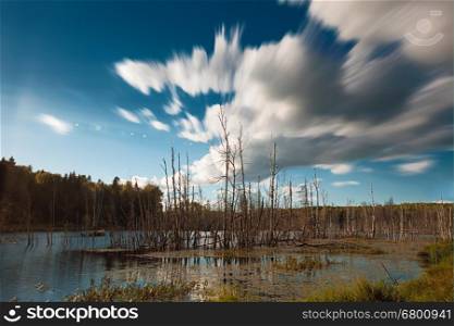 Dead trees in forest lake with motion blurred cloudscape