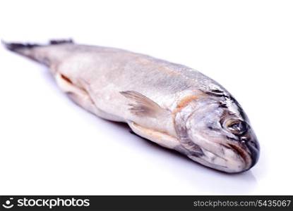 Dead trout isolated on white, prepared for cooking