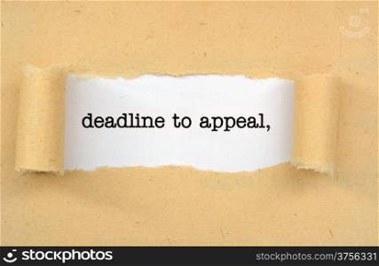 Deadline to appeal