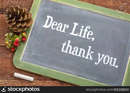 Dear life, thank you - white chalk text on a vintage slate blackboard with a pine cone