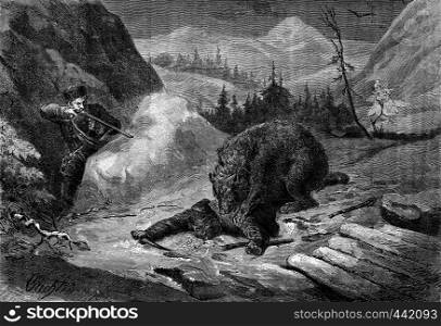Death of Bear. His comrade visa animal to default shoulder, vintage engraved illustration. Journal des Voyage, Travel Journal, (1880-81).