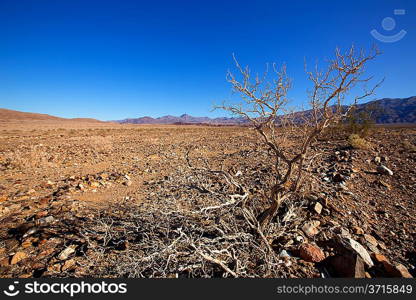 Death Valley National Park California Corkscrew Peak desert