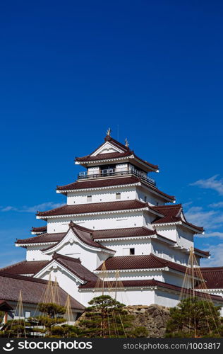 DEC 4, 2018 Aizu Wakamatsu, JAPAN - Aizu Wakamatsu Tsuruga Castle and pine tree in park under winter blue sky. Fukushima Samurai lord fortess in Edo period
