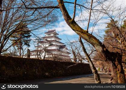DEC 4, 2018 Aizu Wakamatsu, JAPAN - Aizu Wakamatsu Tsuruga Castle and stone wall under big tree in winter blue sky. Fukushima Samurai lord fortess in Edo period