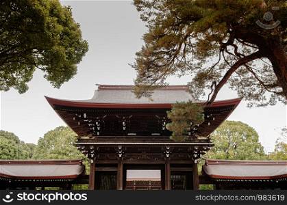 DEC 5, 2018 Tokyo, Japan -Meiji Jingu Shrine Historic Wooden main gate with big pine tree branches in foreground - Most important shrine and city green space of Japan capital city.