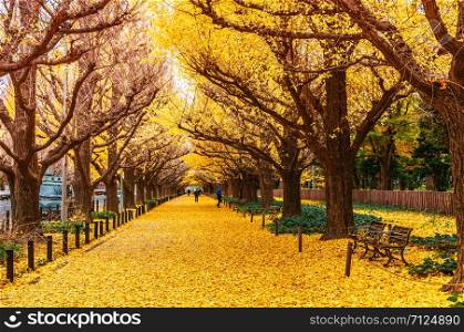 DEC 5, 2018 Tokyo, Japan - Tokyo yellow ginkgo tree tunnel at Jingu gaien avanue in autumn with tourist enjoy scenery. Famous attraction in November and December