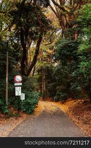 DEC 5, 2019 Tokyo, JAPAN - Autumn Yellow Ginkgo fallen leaves covered ground and small empty road in lush green forest at Meiji Jingu Shrine park - Tokyo green space