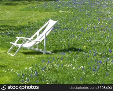 deck chair standing on a lawn dotted with flowers