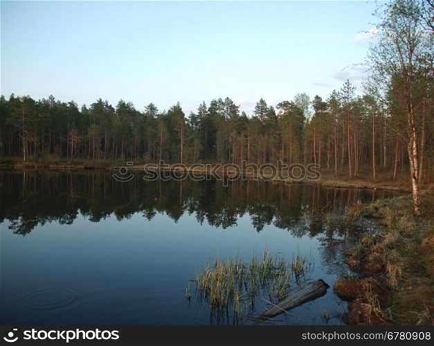Decline on lake in a wood. Karelia, Russia