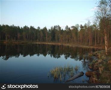 Decline on lake in a wood. Karelia, Russia