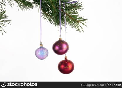 Decorate christmas tree. Shine balls decorate christmas tree on white background