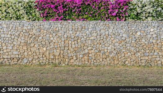 Decorated Bougainvillea flower on stone wall