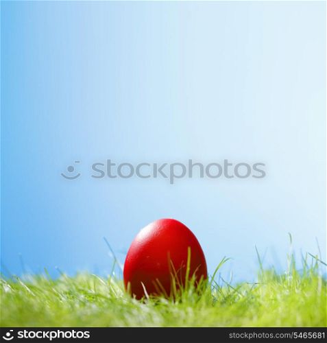 Decorated easter egg in spring grass