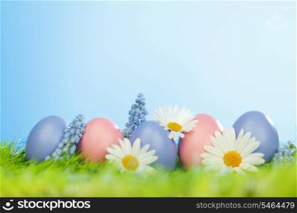 Decorated easter eggs and flowers in spring grass