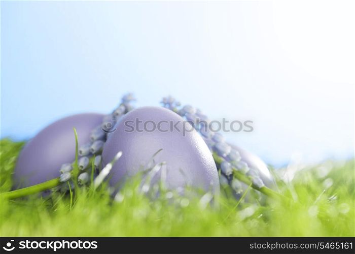 Decorated easter eggs and flowers in spring grass