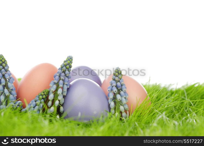 Decorated easter eggs and flowers in spring grass