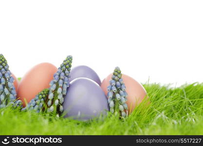 Decorated easter eggs and flowers in spring grass