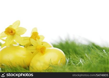 Decorated easter eggs and narcissus in spring grass