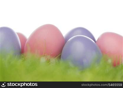Decorated easter eggs in spring grass on white background