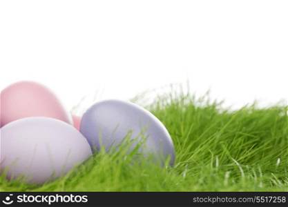 Decorated easter eggs in spring grass on white background