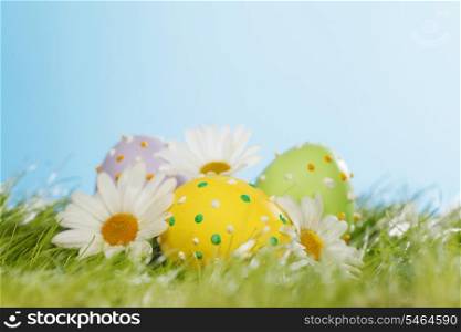 Decorated easter eggs in spring green grass