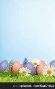 Decorated easter eggs in spring green grass