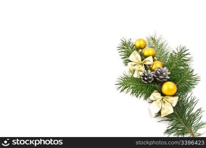 decorated tree branch on white background