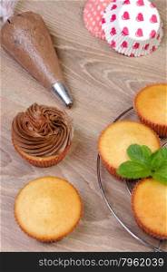 Decorating Chocolate Cupcakes with Frosting in a Pastry Bag