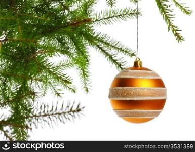 decoration ball on fir branch, white background