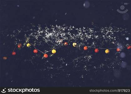 Decoration light background on outdoors tree with heavy snowy winter weather. Red and yellow light color for Christmas and New year party festival celebration with copy space. Low key toned