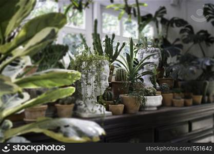 Decoration living room interior style green eco environmental with plant, stock photo