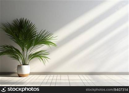 Decoration of a Tropical Plant in Pot on White Wall Background with Sunlight from the Window