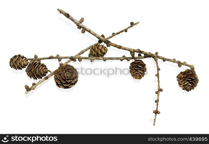Decoration of the cones + clipping path