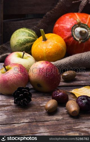 Decorative Autumn Pumpkins. Autumn apples, pumpkins, chestnuts and acorns on a retro background