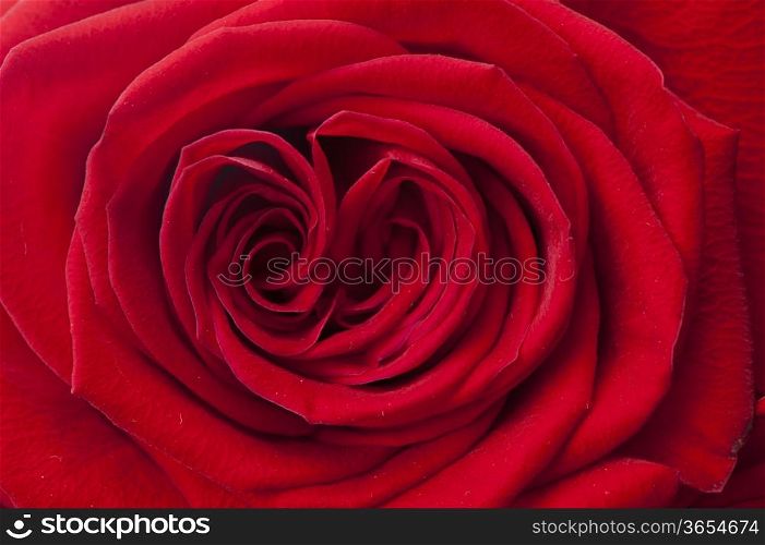 decorative background fabric with bouquet of roses