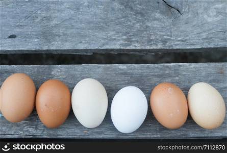 decorative border of eggs on rustic wood