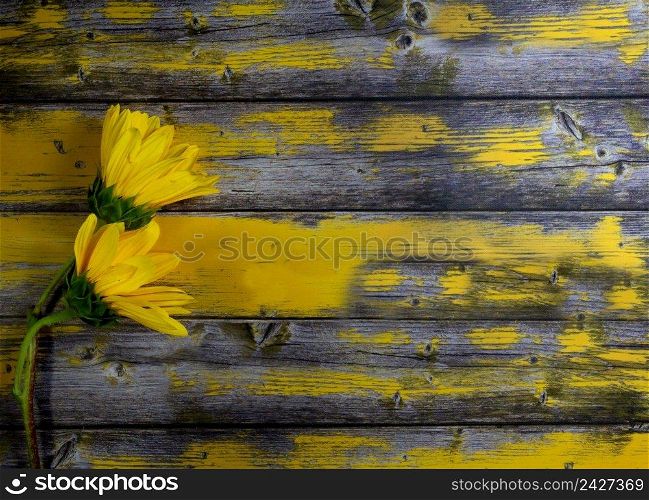 decorative border of yellow sunflowers on rustic wood. two yellow sunflowers leaning on rustic wood