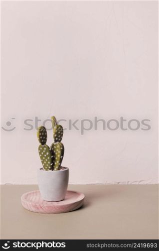 decorative cactus inside minimal vase