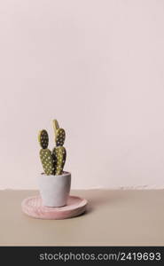 decorative cactus inside minimal vase