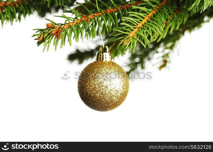 Decorative christmas ball on fir branch isolated on white background
