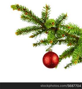 Decorative christmas ball on fir branch isolated on white background