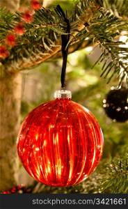 Decorative christmas balls and decoration hanging on pine - tree branch