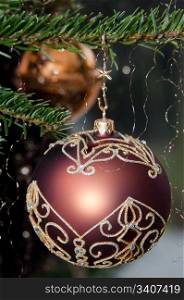 Decorative Christmas balls hanging on pine - tree branch