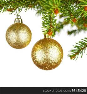 Decorative christmas balls on fir branch isolated on white background