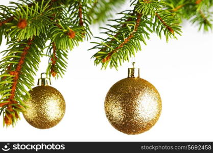 Decorative christmas balls on fir branch isolated on white background