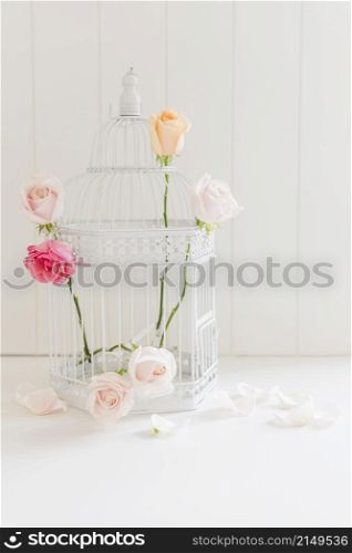 decorative colorful roses cage