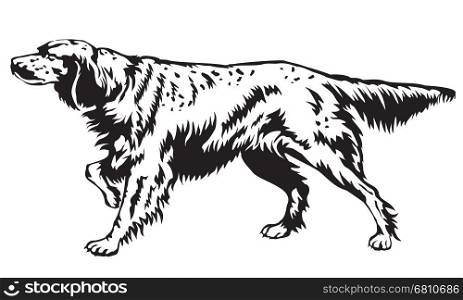 Decorative Dog English setter vector Illustration