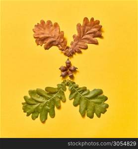 Decorative fall pattern from oak leaves dry and green with acorns seeds on an yellow background. Flat lay.. Autumn composition from dry and green oat leaves and acorns.