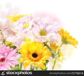 Decorative floral background with bokeh lights and stars